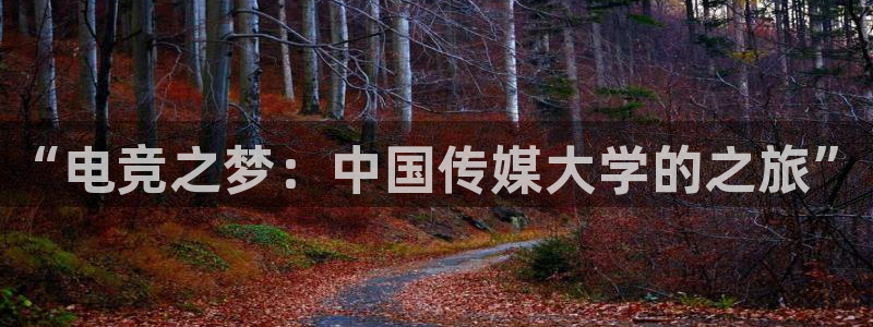 乐鱼电竞app下载