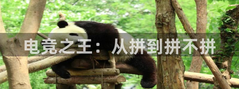 乐鱼电竞下载：电竞之王：从拼到拼不拼