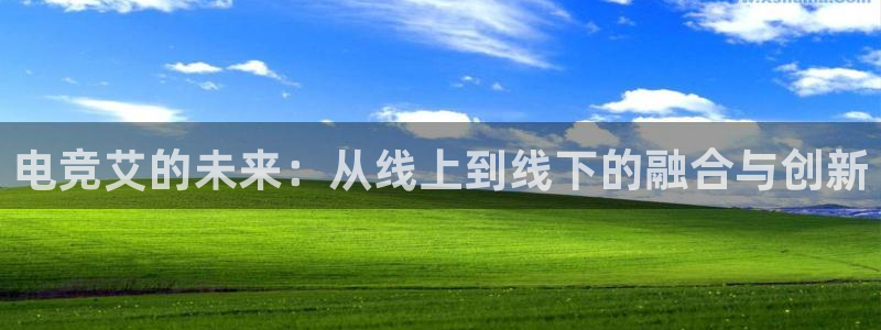 乐鱼电竞app下载：电竞艾的未来：从线上到线下的融合与创新