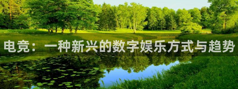 乐鱼电竞app