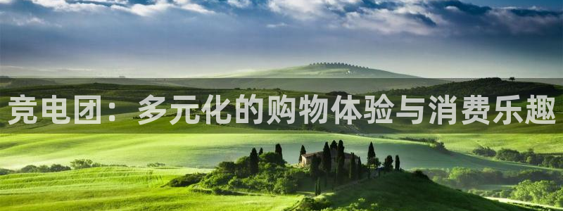 乐鱼电竞英雄联盟app官方：竞电团：多元化的购物体验与消费乐趣