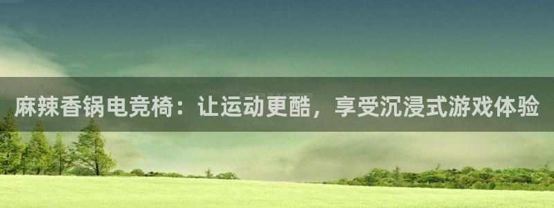 乐鱼电竞app下载：麻辣香锅电竞椅：让运动更酷，享受沉浸式游戏体验