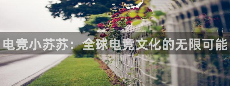 乐鱼电竞网站