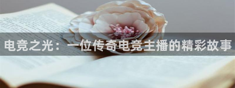 乐鱼电竞官网