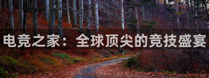 乐鱼电竞app下载
