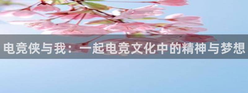 乐鱼电竞app下载