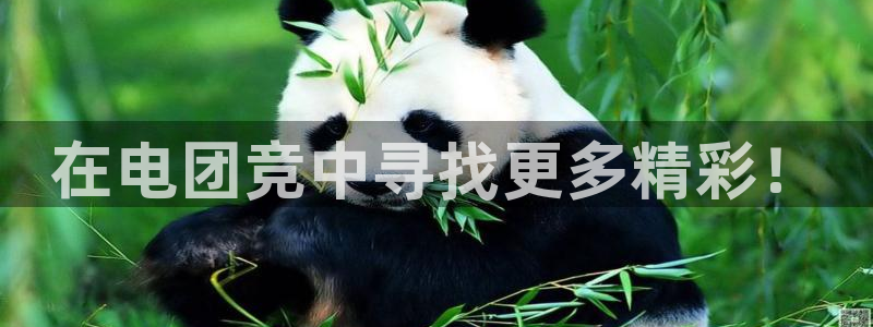 乐鱼电竞官网
