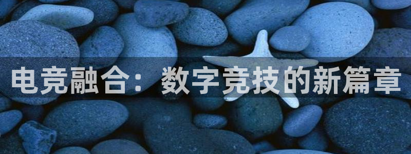 乐鱼电竞平台