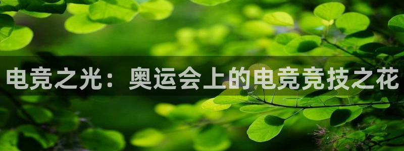 乐鱼电竞网站