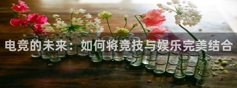 乐鱼电竞官网