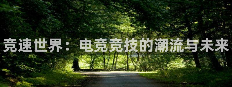 乐鱼电竞下载