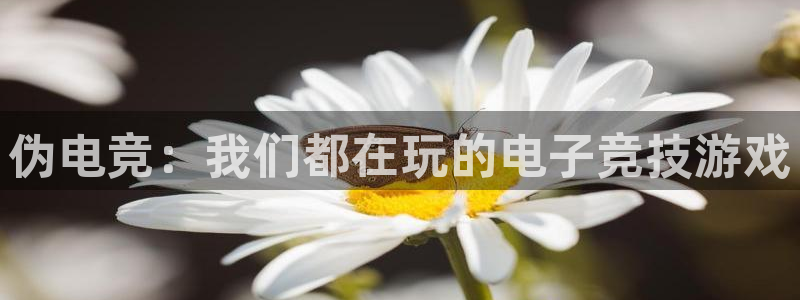 乐鱼电竞下载