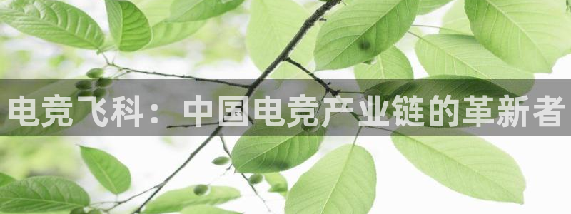 乐鱼电竞英雄联盟app官方