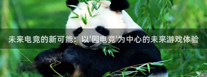 乐鱼电竞