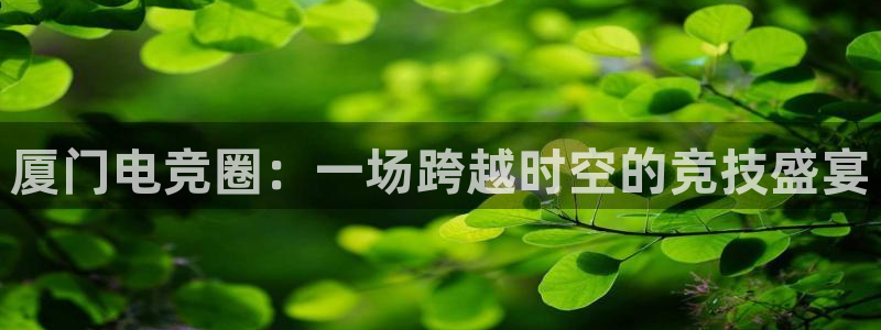 乐鱼电竞网站