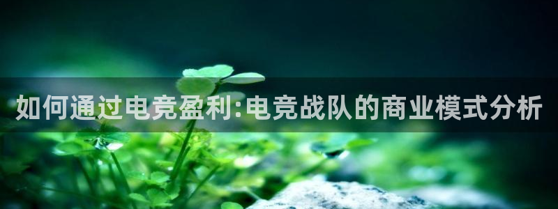 乐鱼电竞
