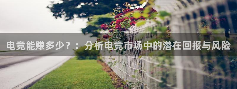 乐鱼电竞下载