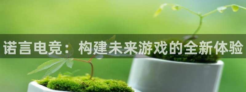 乐鱼电竞官网