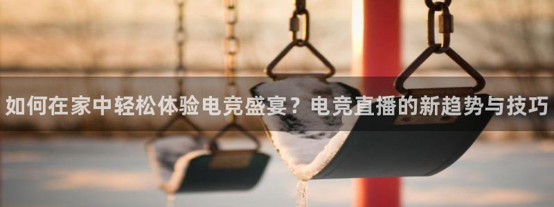 乐鱼电竞网站