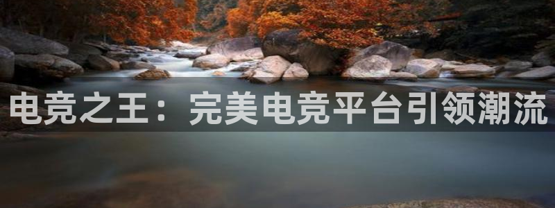 乐鱼电竞app