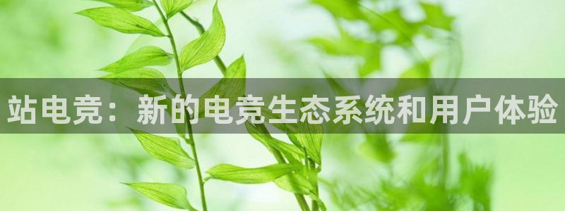 乐鱼电竞