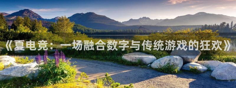 乐鱼电竞