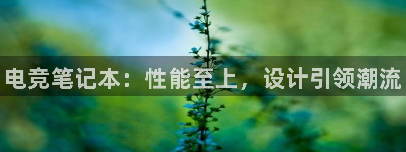乐鱼电竞下载