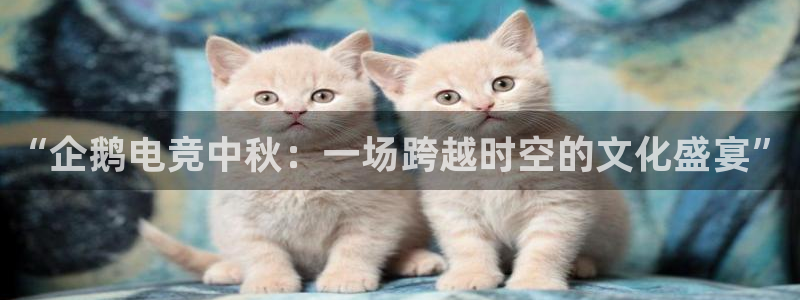 乐鱼电竞app下载