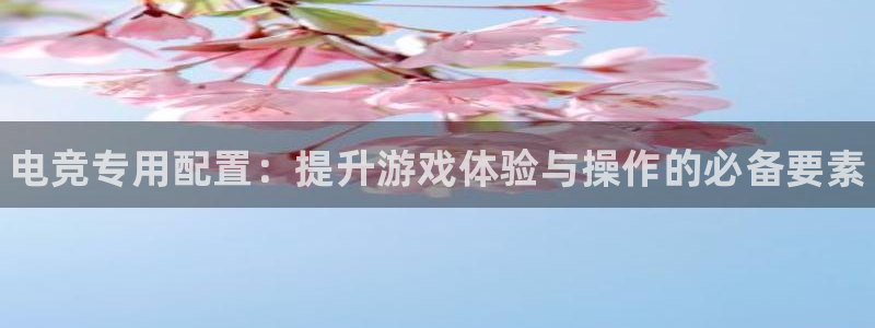 乐鱼电竞英雄联盟app官方