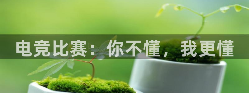 乐鱼电竞