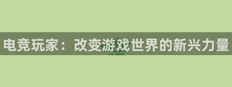 乐鱼电竞网站