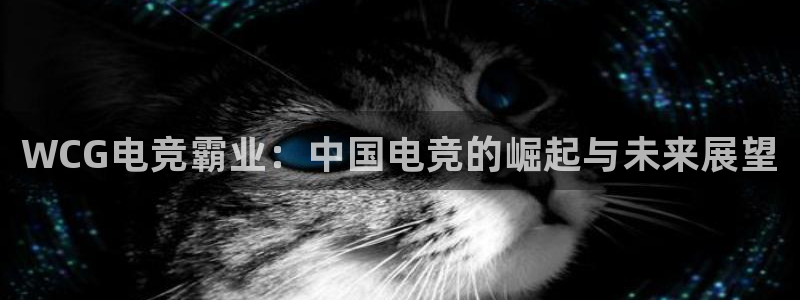 乐鱼电竞网站