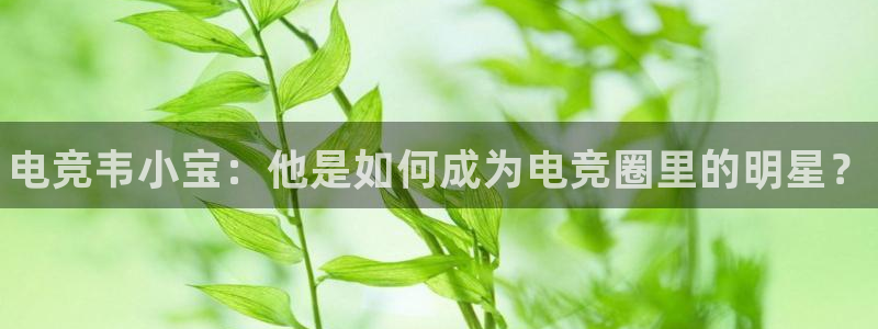 乐鱼电竞app下载