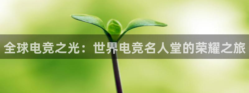 乐鱼电竞网站