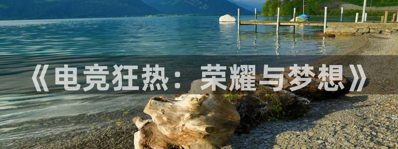 乐鱼电竞下载