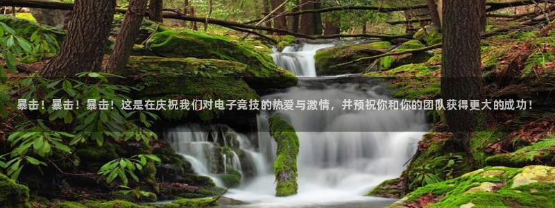 乐鱼电竞app下载