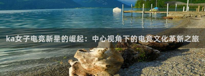 乐鱼电竞app下载