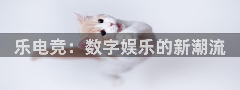 乐鱼电竞官网
