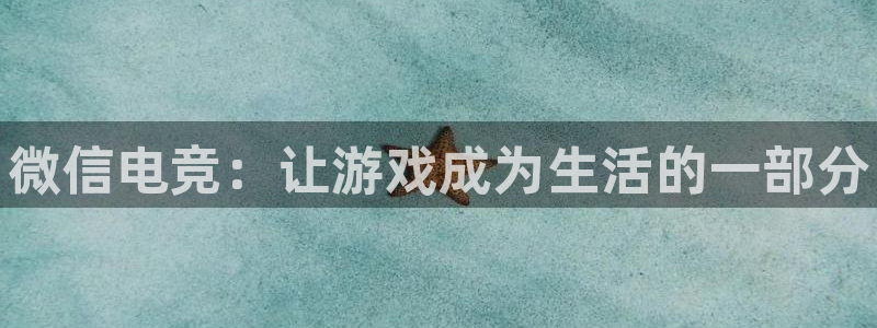 乐鱼电竞网站