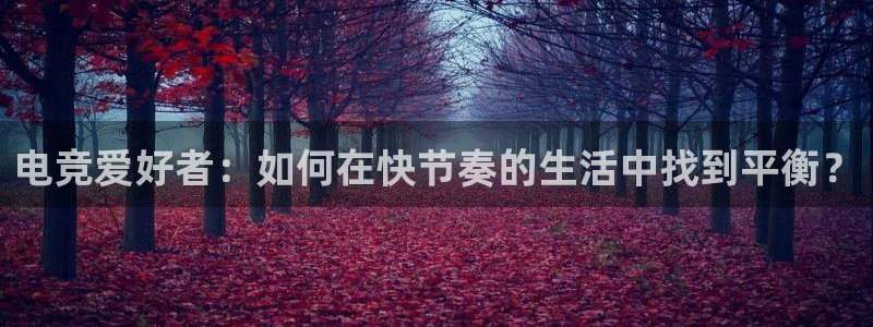 乐鱼电竞网站