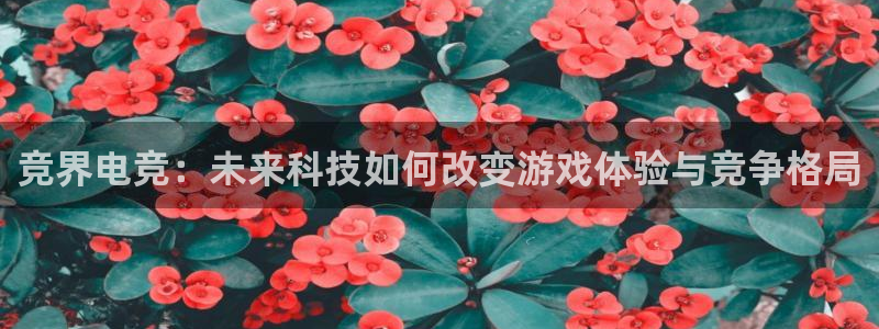 乐鱼电竞app下载