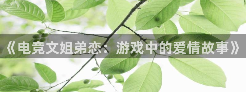 乐鱼电竞app