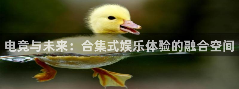 乐鱼电竞网站