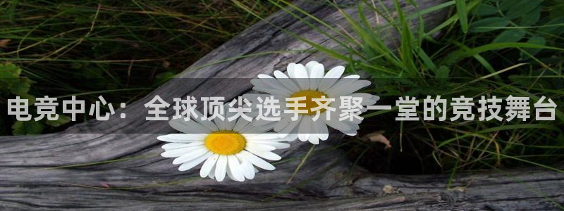 乐鱼电竞官网