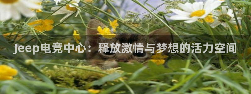 乐鱼电竞网站