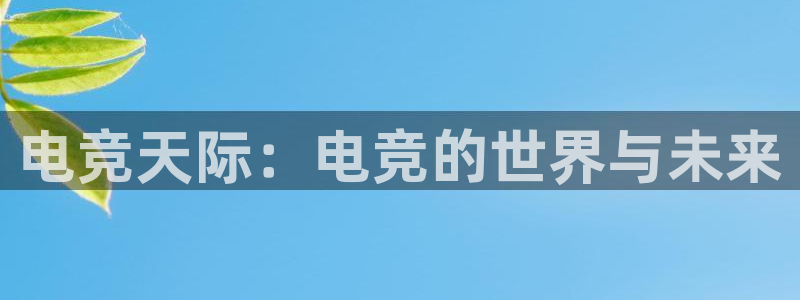 乐鱼电竞