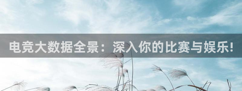乐鱼电竞官网