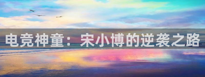 乐鱼电竞app
