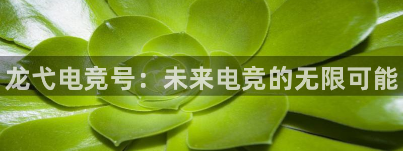 乐鱼电竞app
