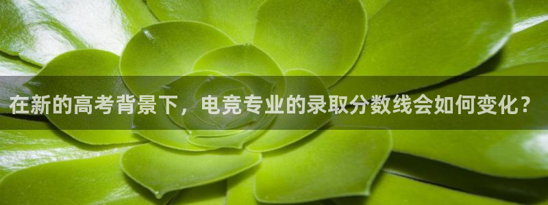 乐鱼电竞